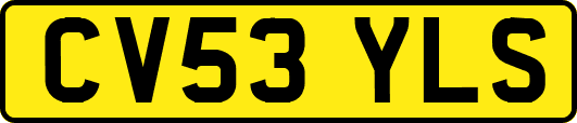 CV53YLS