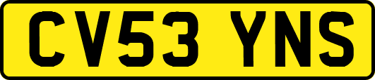 CV53YNS