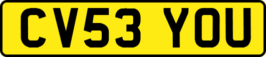 CV53YOU