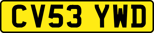 CV53YWD