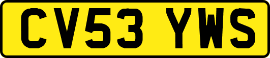 CV53YWS