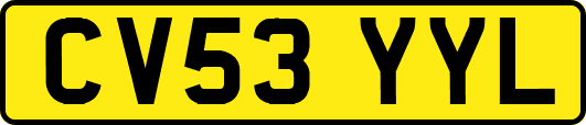 CV53YYL