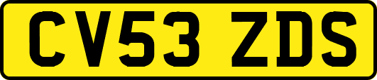 CV53ZDS