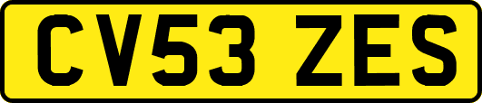 CV53ZES