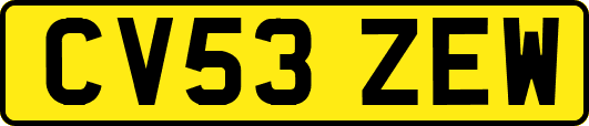CV53ZEW