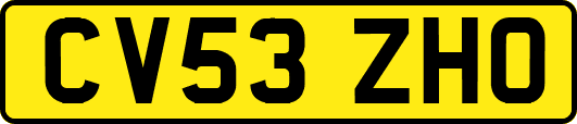 CV53ZHO