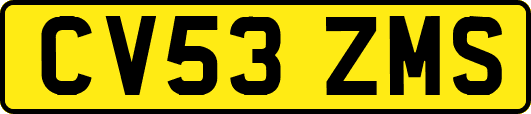 CV53ZMS