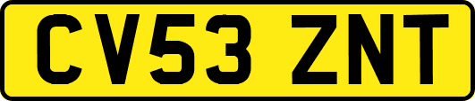 CV53ZNT