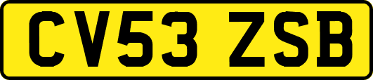 CV53ZSB