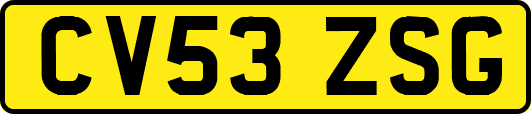 CV53ZSG
