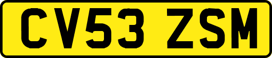 CV53ZSM