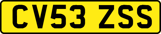 CV53ZSS