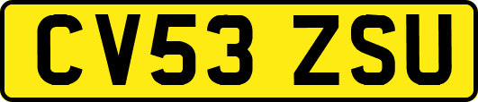 CV53ZSU