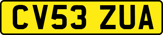 CV53ZUA