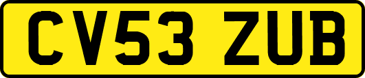 CV53ZUB