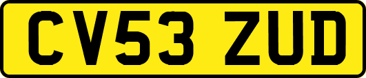 CV53ZUD
