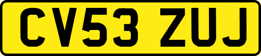 CV53ZUJ