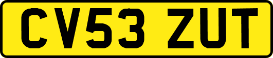CV53ZUT