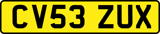 CV53ZUX