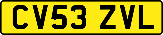 CV53ZVL