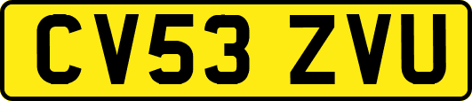 CV53ZVU