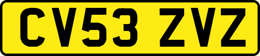CV53ZVZ