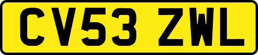CV53ZWL