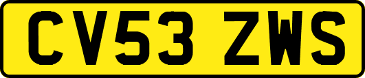 CV53ZWS