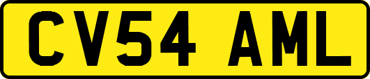 CV54AML