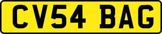 CV54BAG