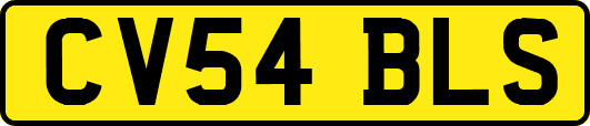 CV54BLS