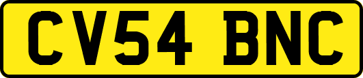 CV54BNC