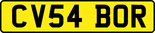CV54BOR