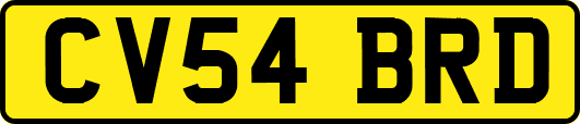 CV54BRD