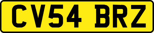CV54BRZ
