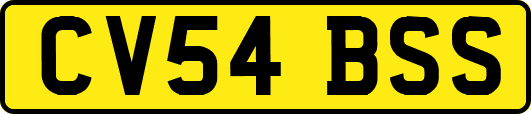 CV54BSS