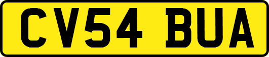 CV54BUA