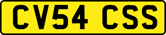 CV54CSS