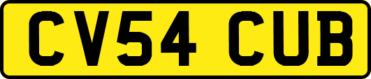 CV54CUB
