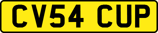 CV54CUP