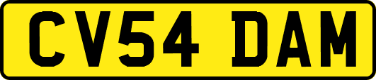CV54DAM