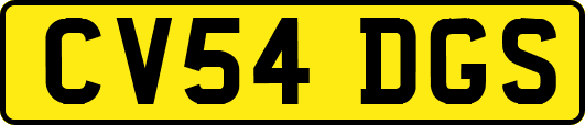 CV54DGS