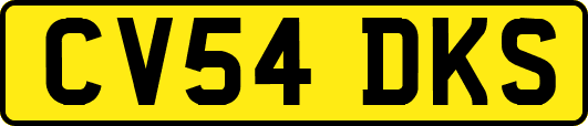 CV54DKS