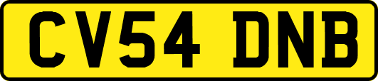 CV54DNB