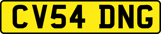 CV54DNG