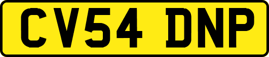 CV54DNP