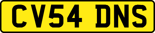 CV54DNS