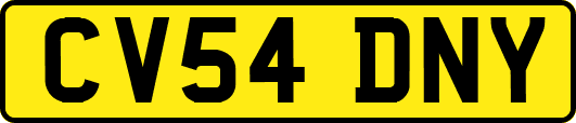 CV54DNY