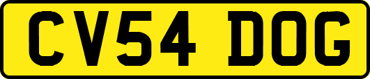 CV54DOG