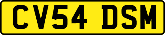 CV54DSM